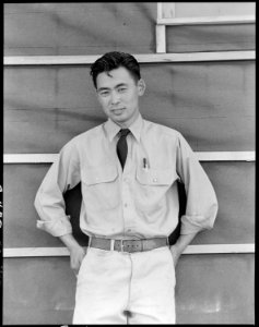 Sacramento, California. This evacuee of Japanese ancestry has worked for the State of California as . . . - NARA - 537784 photo