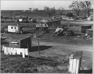 Sacramento, California. Fifty to sixty families pay $1 per month ground rent. No sanitary facilities . . . - NARA - 521790