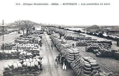 Rufisque-Les arachides en gare (AOF)
