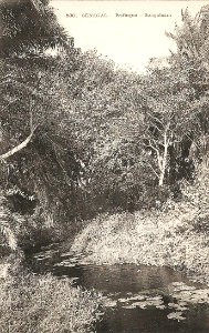 Rufisque-Sangalcam (AOF) (2)