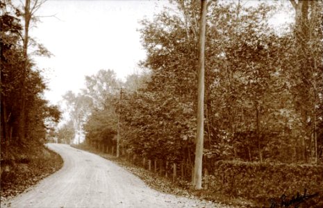 Sainte-Petronille - Chemin de terre, vers 1920 photo