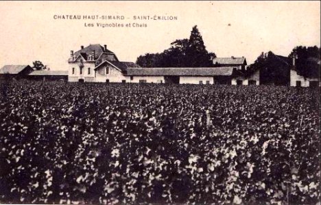 Saint-Emilion château Haut-Simard