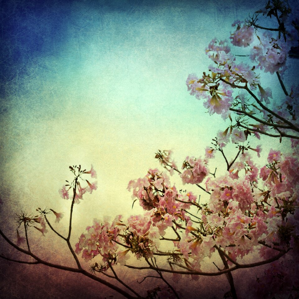 Art tree floral