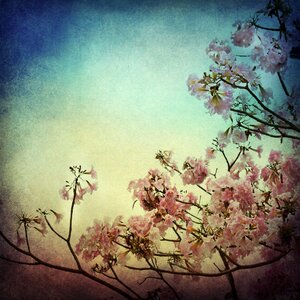 Art tree floral