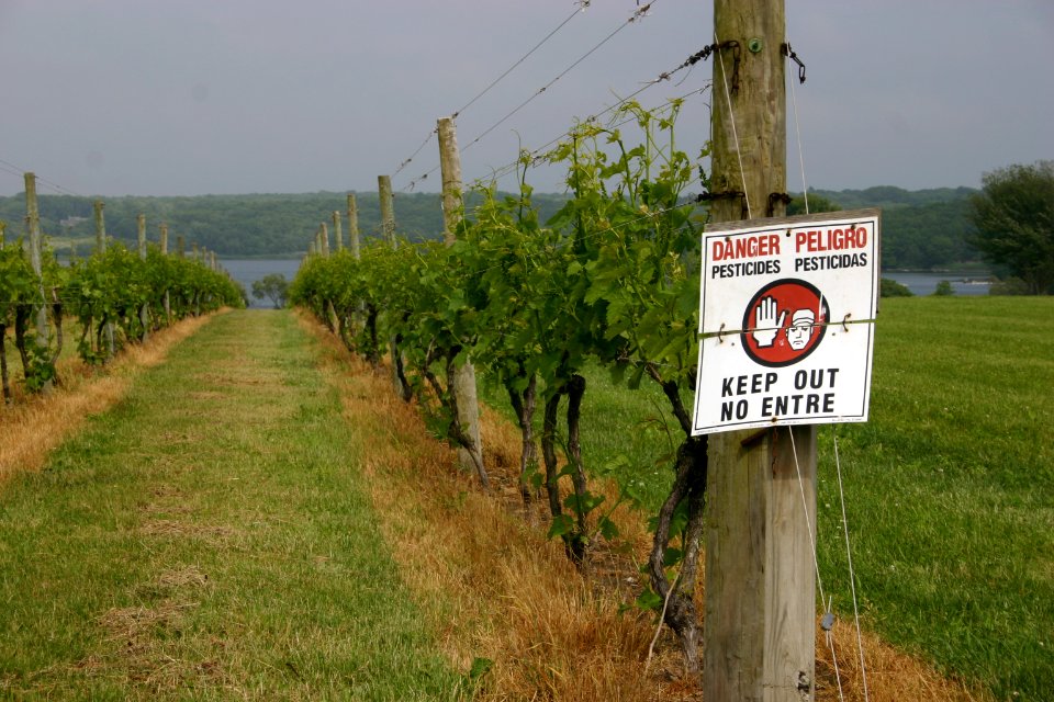 Sakonnet Vineyards Tour (4755507582)