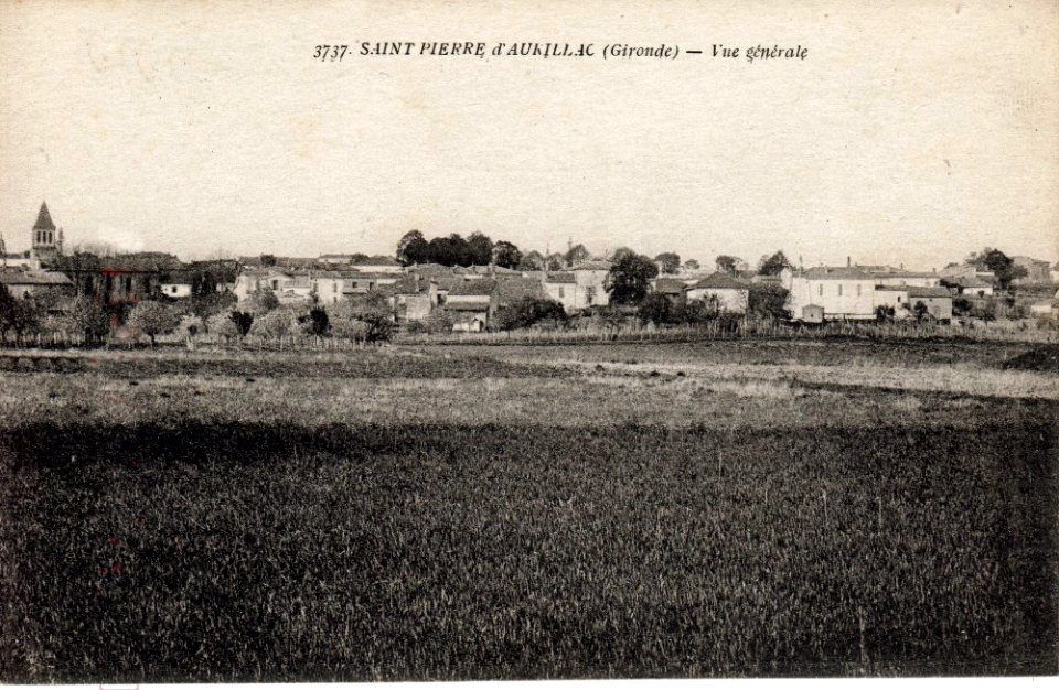 Saint-Pierre-d'Aurillac - Vue générale 2
