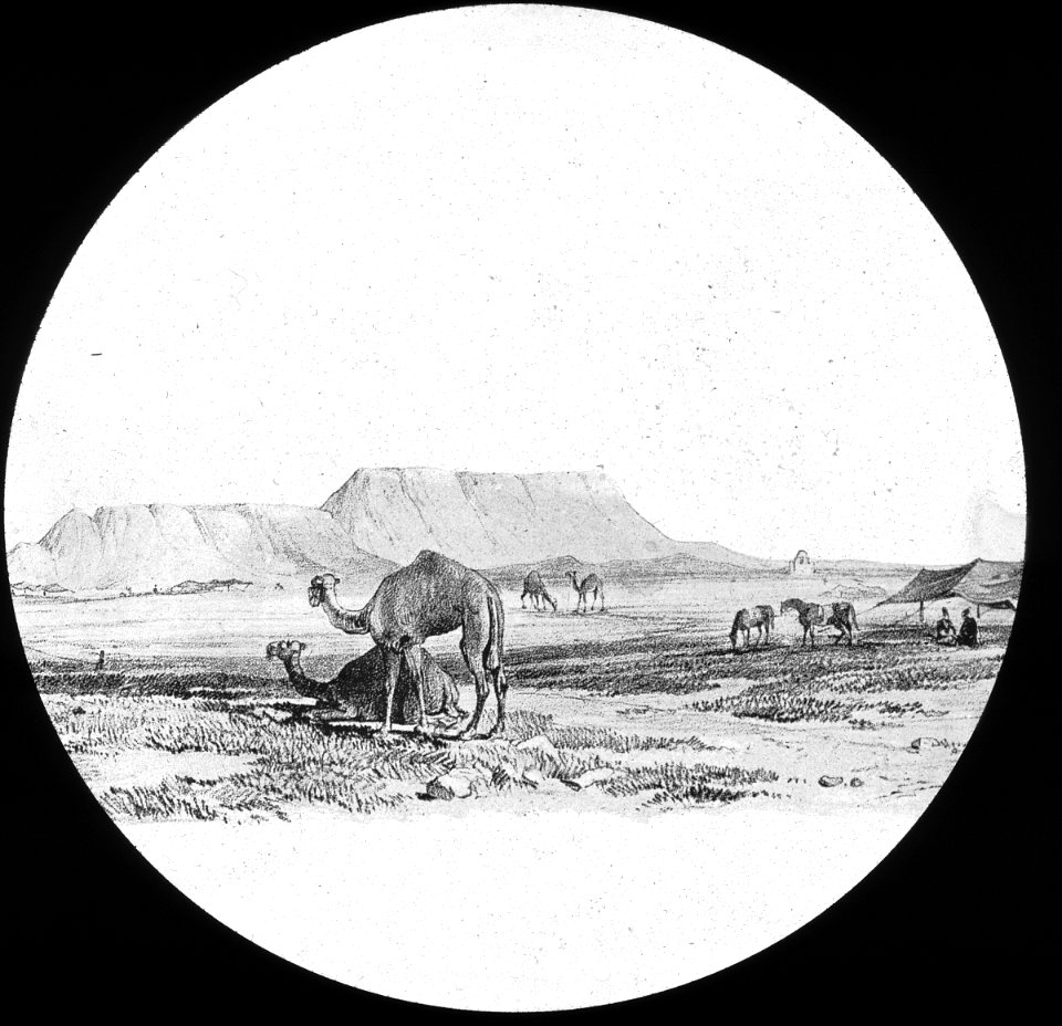 S03 06 01 017 image 2344