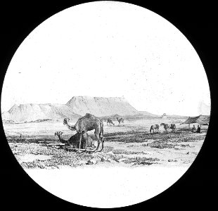 S03 06 01 017 image 2344