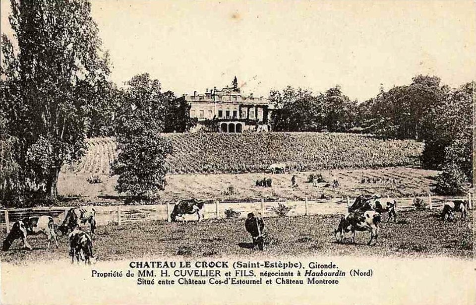 Saint-Estèphe - château le Crock 3