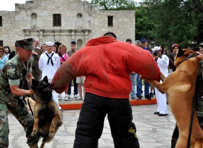 San Antonio Navy Week 2010 100422-N-UR169-744