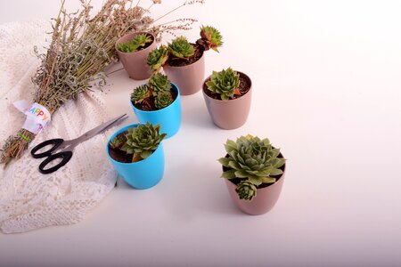 Green nature decoration