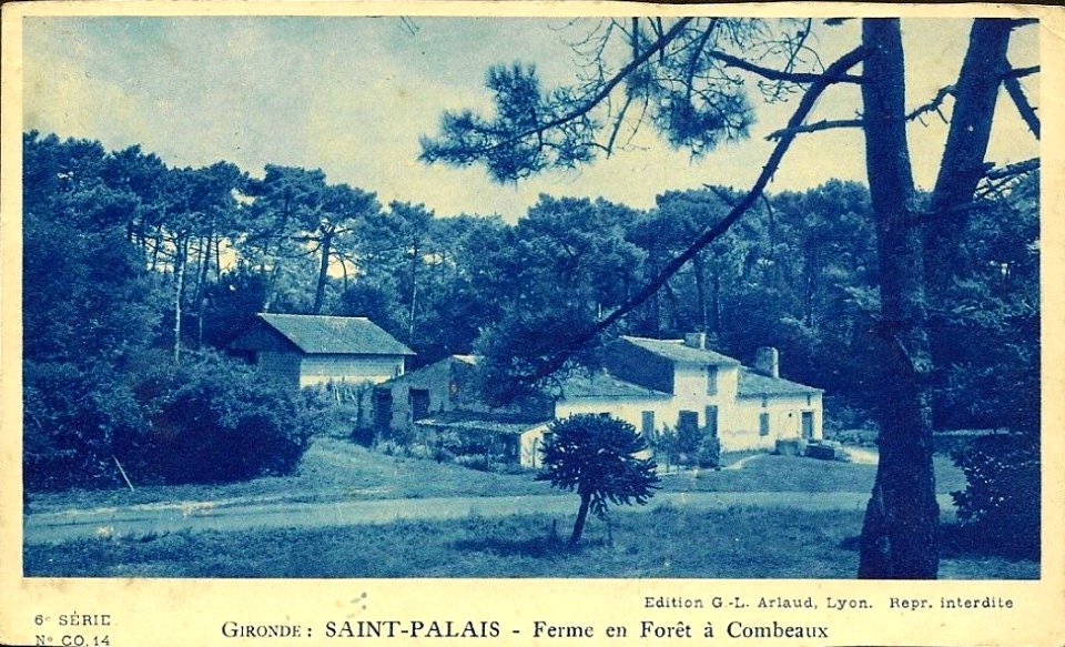 Saint-Palais - Ferme en forêt