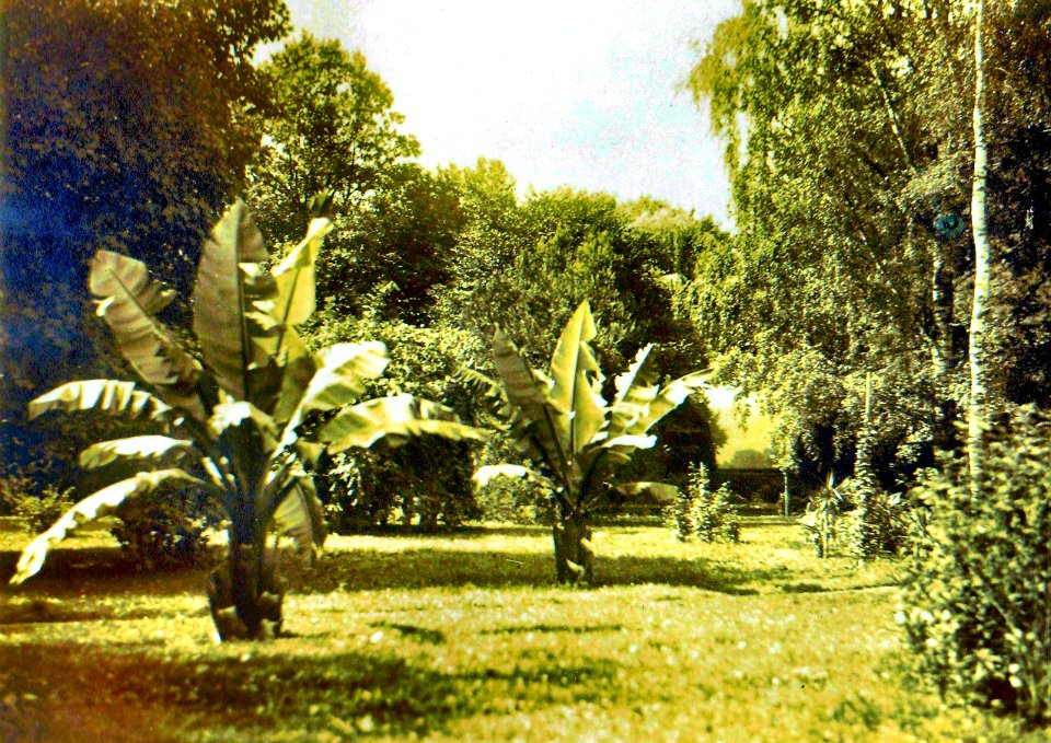 Schlosspark Berhometh 5