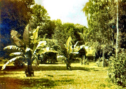 Schlosspark Berhometh 5
