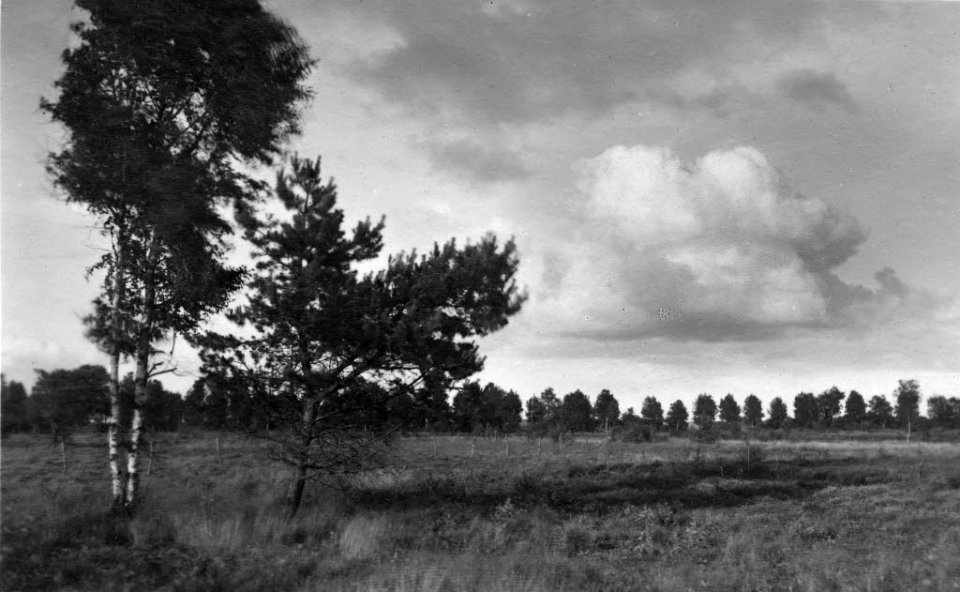 Schlüsbeker Moor (Kiel 70.295)