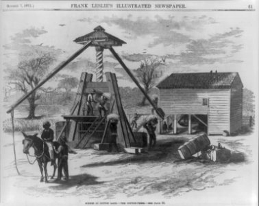 Scenes in cotton land- The cotton press LCCN99614018