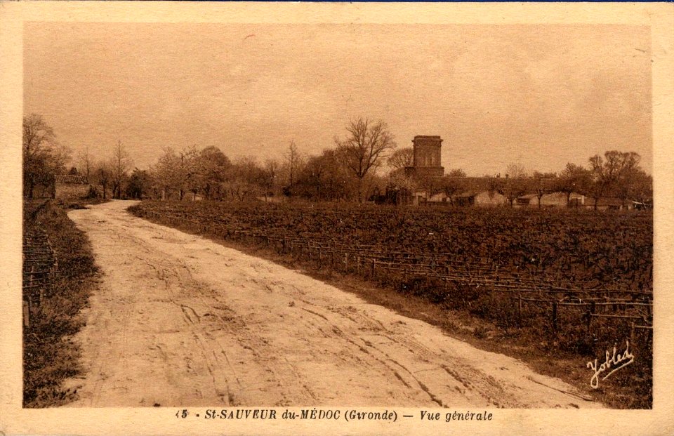 Saint-Sauveur-du-Médoc - vue générale 1