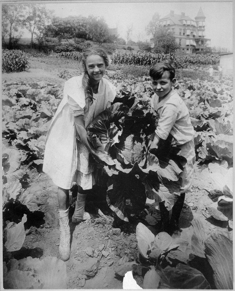 School children holding one of the large heads of cabbage raised in the War garden of Public School 88, Borough of Queen - NARA - 533646
