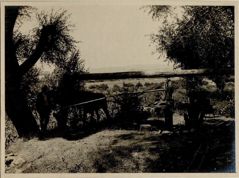 Schöpfbrunnen in einer Gärtnerei. (BildID 15546234)