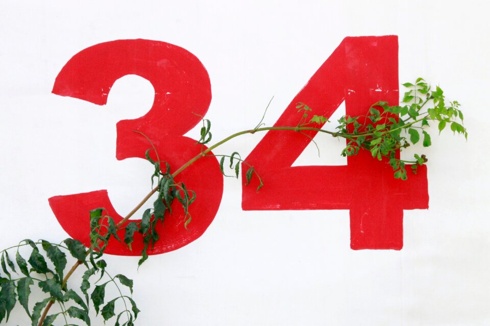 Numbers branch leaves