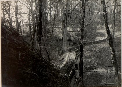 Schützengraben im Abschnitt des Feldjägerbataillons 10 im Park Palästina (BildID 15442811)