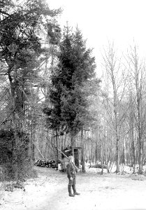 Schildwache an der Grenze mit Beobachtungsstand - CH-BAR - 3238038