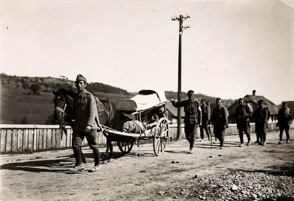 Schwerverwundeten Transport im Gebirge (BildID 15719659)