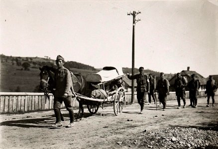 Schwerverwundeten Transport im Gebirge (BildID 15719659)