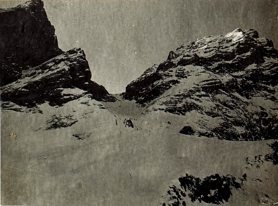 Sattel zwischen Königswand und Tscharknollen. (BildID 15583213)