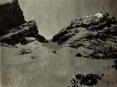 Sattel zwischen Königswand und Tscharknollen. (BildID 15583213)