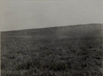 Schwarmlinie d-14.Inftr.Reg.östlich M.H.Oderacy, 4.10.1915 (BildID 15459555)
