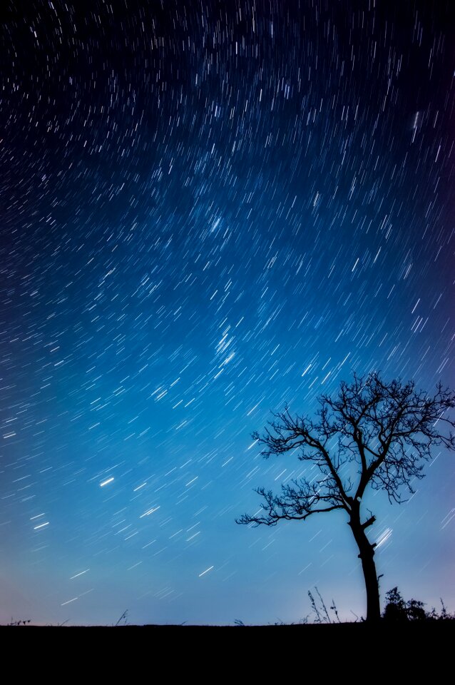 Stars night evening