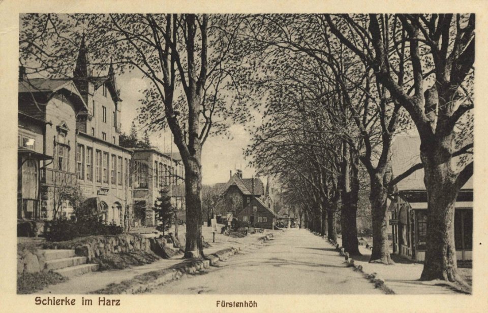 Schierke (Harz), Sachsen-Anhalt - Fürstenhöh mit Fürstenhof (Zeno Ansichtskarten)