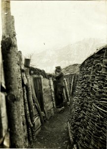 Schützengraben auf der Auria. (6-5.1917.) (BildID 15500435)