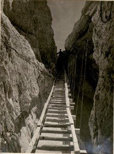Schwebebrücke (Seilleiter) welche zur Korscharte führt. (19-7.1917.) (BildID 15801889)