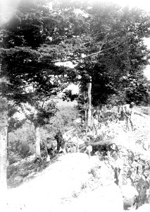 Schützengrabenbau entlang der Hügelkrete - CH-BAR - 3240555