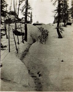Schützengraben aus der Infanterie - Stellung am Kreuzberg Sattel. (BildID 15583052)