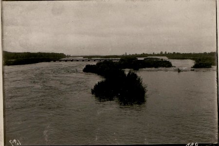 Schwere Etappen-Brücke bei Stryj .Hochwasser 21.VII.1915. (BildID 15734242)