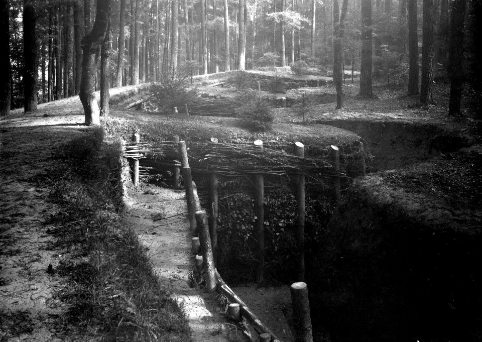 Schützengraben Werk Grossholz - CH-BAR - 3241772