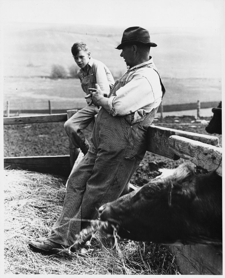 Shelby County, Iowa. Individuals on various farms in the Irwin community. - NARA - 522419