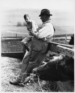 Shelby County, Iowa. Individuals on various farms in the Irwin community. - NARA - 522419