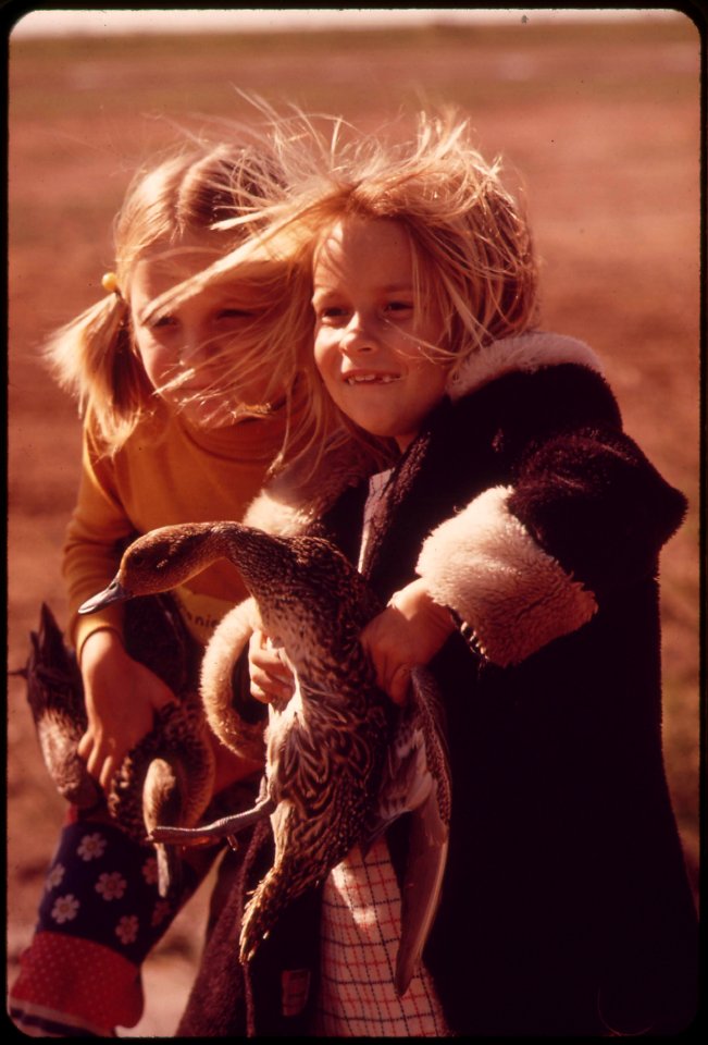 Second-grade-school-girls-from-calipatria-clutch-pintail-ducks-they-are-studying-banding-and-migration-at-the-salton-sea-national-wildlife-refuge-march-1973 7006509644 o