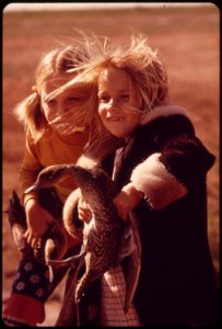 Second-grade-school-girls-from-calipatria-clutch-pintail-ducks-they-are-studying-banding-and-migration-at-the-salton-sea-national-wildlife-refuge-march-1973 7006509644 o