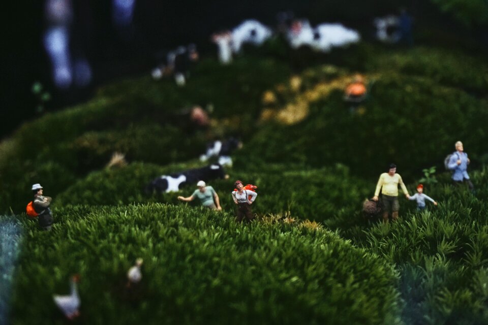 Garden outdoor people