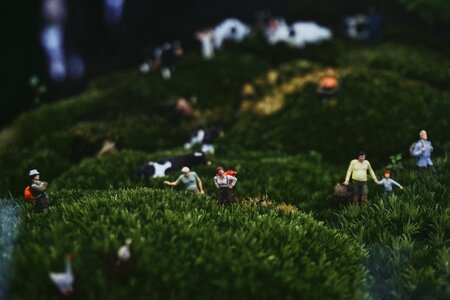 Garden outdoor people