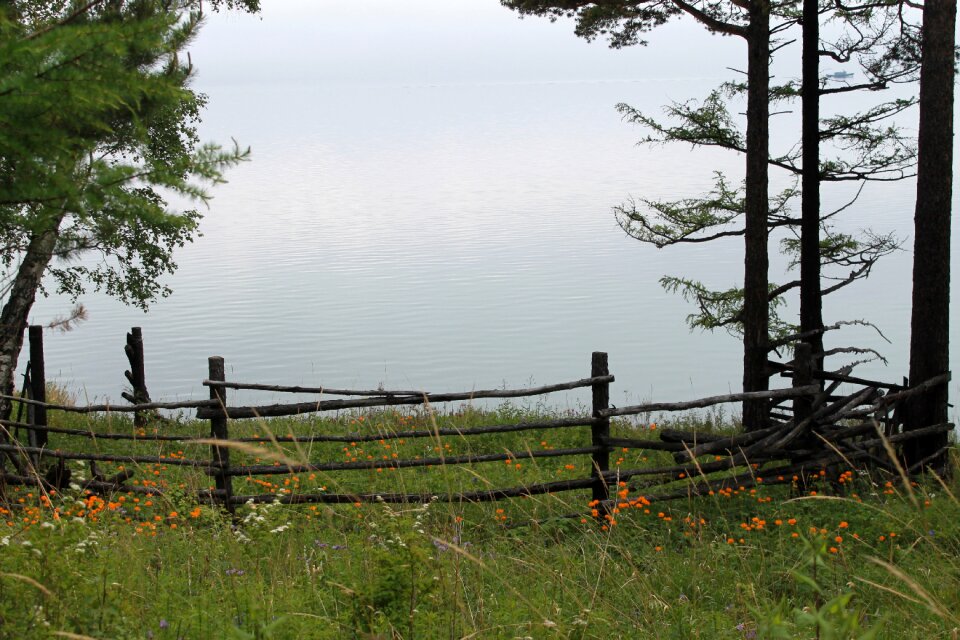 Baikal summer in the baikal shore of baikal