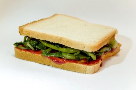Breakfast lunch succulent