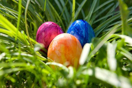 Easter eggs happy easter colorful photo