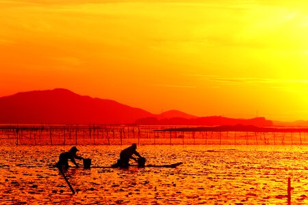 Suncheon bay sunset in the evening
