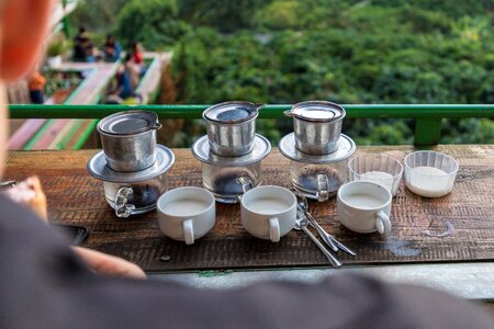 Coffee plantation drink vietnam coffee